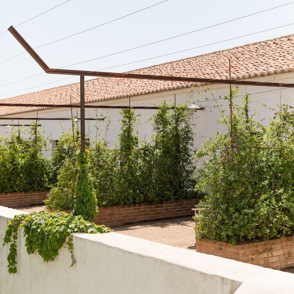 São Lourenço do Barrocal Hotel Reguengos de Reguengos de Monsaraz Exterior foto