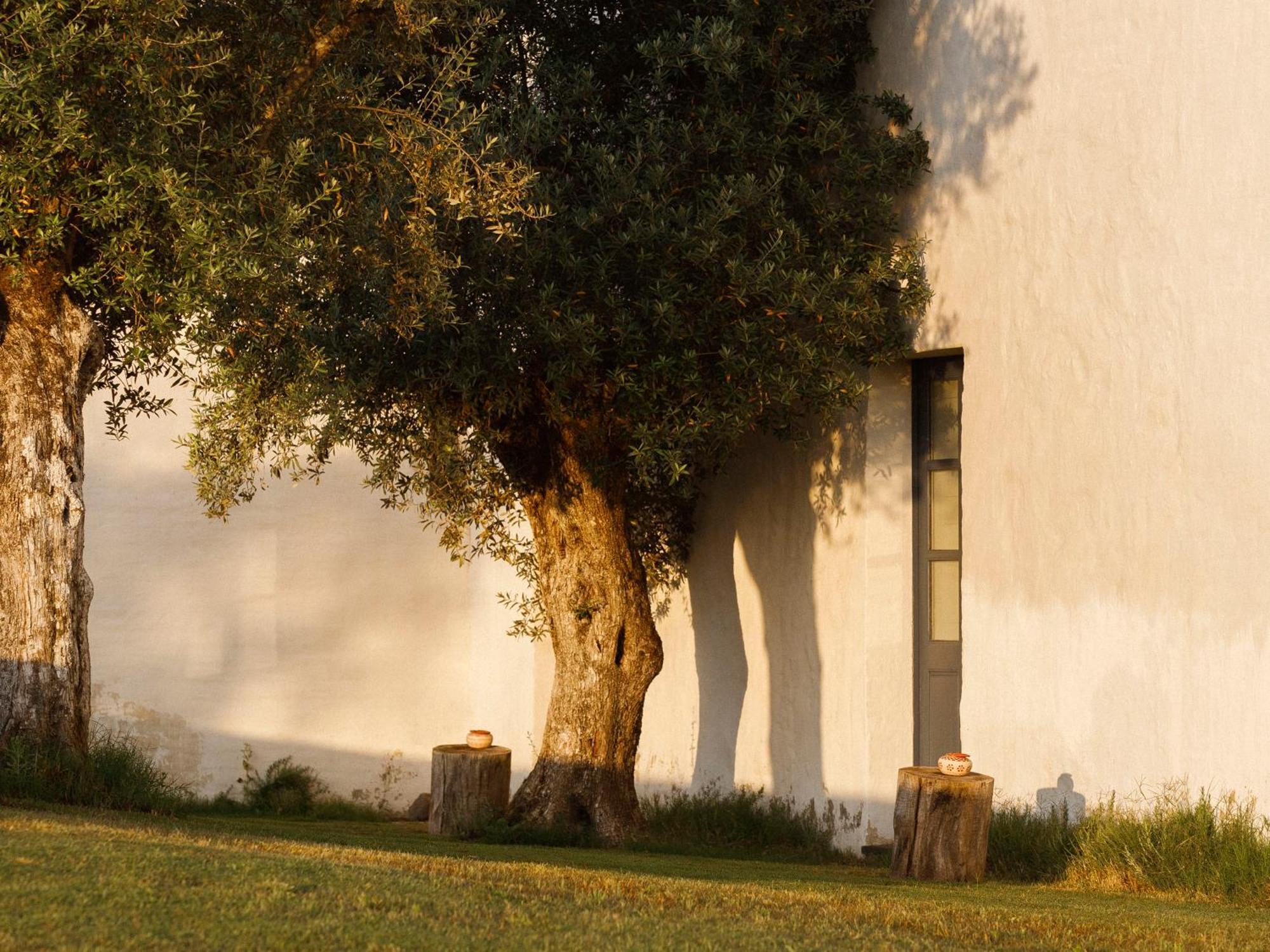 São Lourenço do Barrocal Hotel Reguengos de Reguengos de Monsaraz Quarto foto